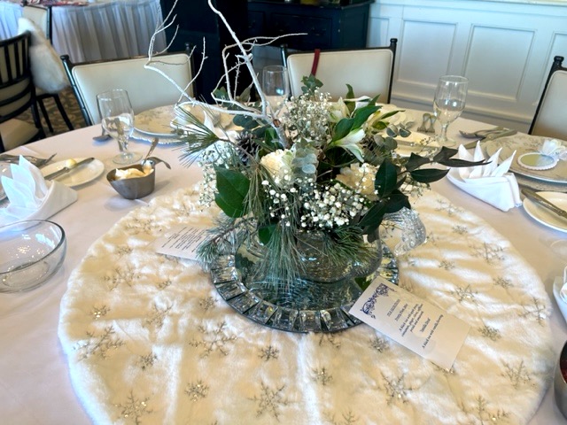 VTS-Swan Lake-2 VTS-Swan Lake-2