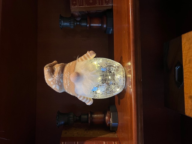 gnome-tea-nov-2023-10 gnome-tea-nov-2023-10