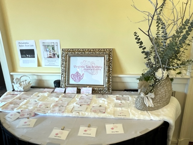 VTS-Swan-Lake-4 VTS-Swan-Lake-4